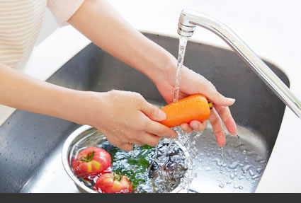 Programa Alimento Seguro