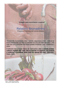 Capa de: 