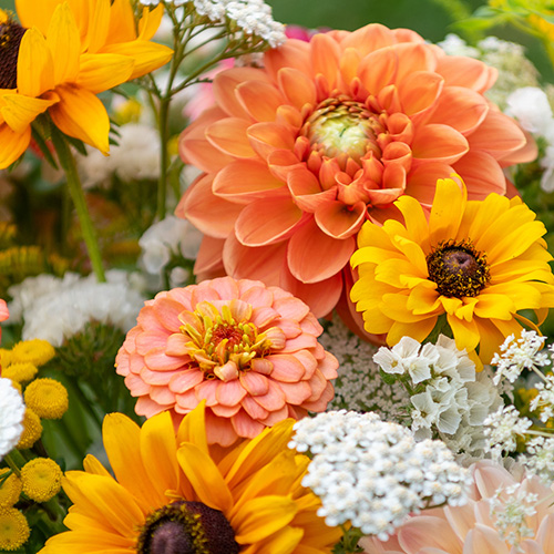 Cursos elegíveis para a ocupação Florista